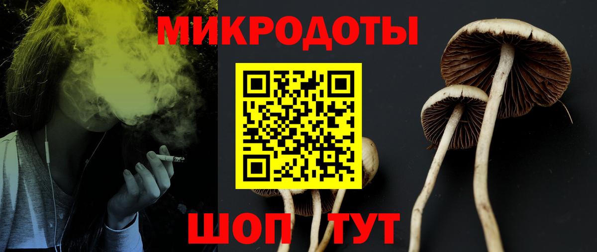 Тимашёвск  Галлюциногенные грибы GOLDEN TEACHER  Псилоцибиновые грибы MAGIC MUSHROOMS  Вход с VPN 